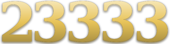 23333 logo